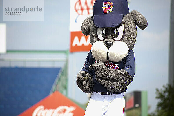 Sluuger  the Sea Dogs mascot  rallies the crowd