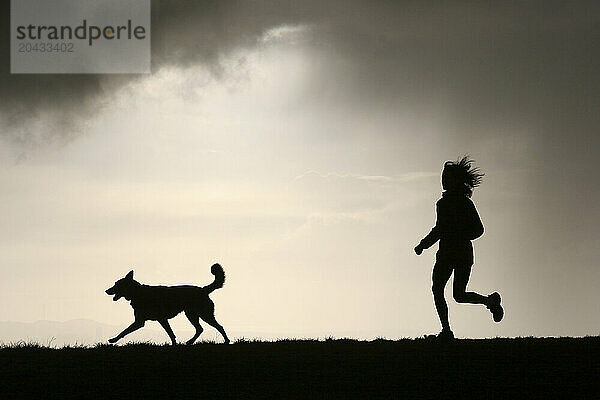 A stormy sky silhouettes a runner and her dog as they run along the crest of the hills crowning Tilden Regional Park  Berkeley