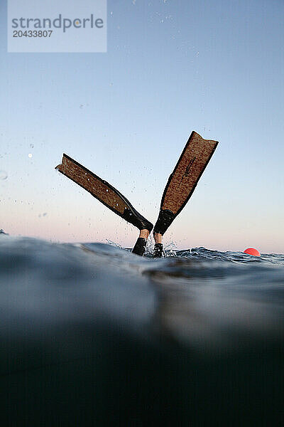 Freediving on the WIld Dayrell