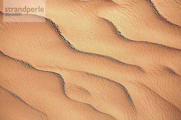 Yellow sand with ripple marks in a desert  Sahara  Southern Tunisia  Tunisia  Maghreb  North Africa  Africa