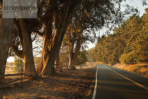 Highway past the warm setting sun in California USA