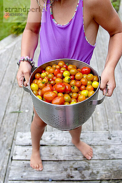 girl with heavy tomato harvest