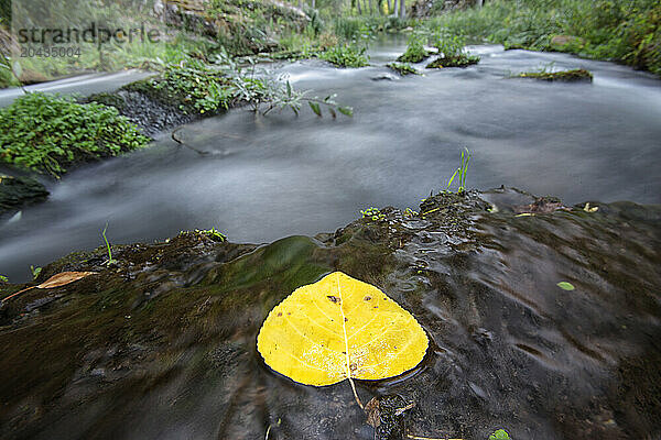 Alto Tajo Natural Park