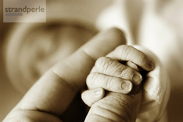 A newborn infant wraps her tiny fingers her around her father's thumb Flagstaff  Az.