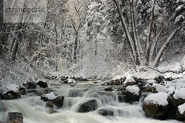 Rushing winter creek after winter storm in Big Cottonwood Canyon  UT (Blurred Motion)