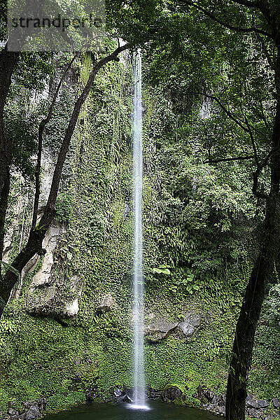 Katibawasan Falls  Camiguin Island  Philippines