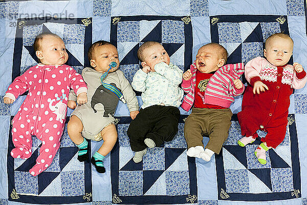 An overhead shot of five babies on a blue quilt blanket in a home.