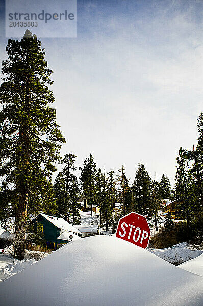 A stop sign is burried in a snow drift after a large winter storm.