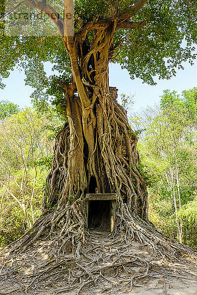 Sambor Prei Kuk  Kampong Thom Province  Cambodia