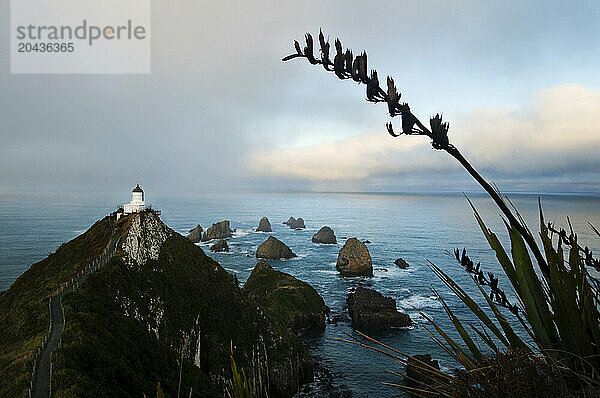 An old lighthouse looks out over the rocky coastline of the Caitlans in Southern New Zealand.