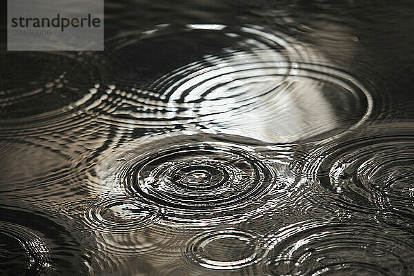 Drops rippling in a puddle