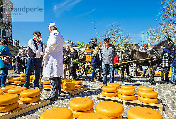 Cheese Market On Market Square In Front Of Stadhuis Gouda City Hall