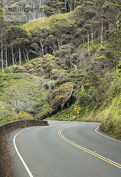 Windy road.