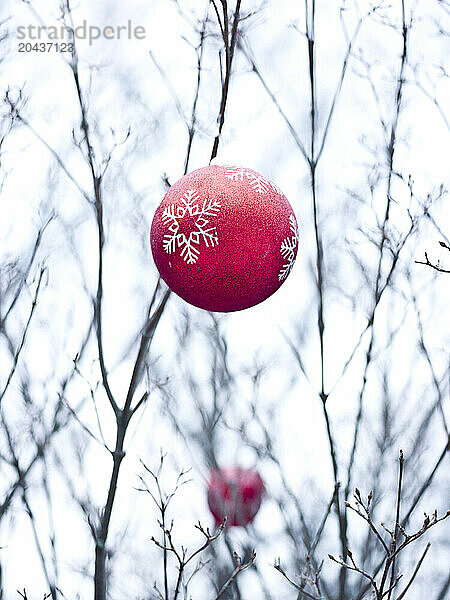 christmas balls decorate an outdoor tree