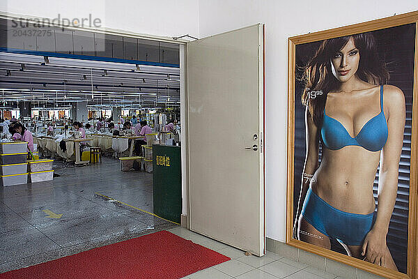 Southern China Bra Factory