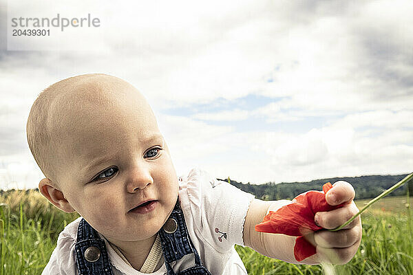 Cute baby girl holding flower at meadow