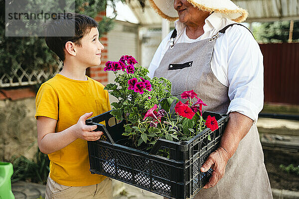 Grandmother carrying flower crate by grandson