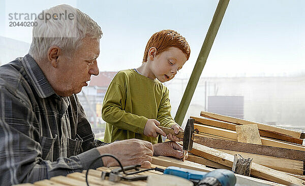 Grandfather assisting boy hammering nail on plank