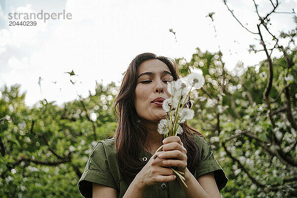 Smiling woman blowing on dandelions under cloudy sky