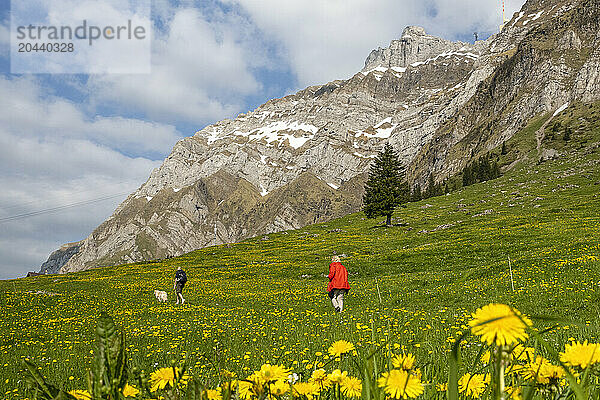 Hikers hiking near Santis mountain in Switzerland