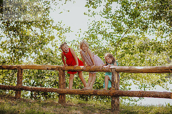 Cheerful girls climbing wooden fence at garden