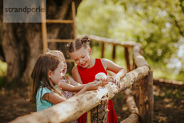 Girls with hedgehog by wooden fence at garden