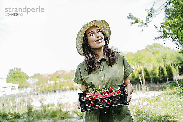 Young farmer wearing hat standing with crate of strawberries at garden