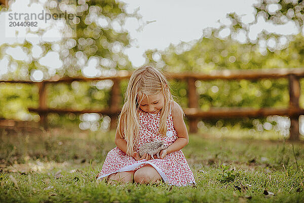 Happy blond girl playing with hedgehog sitting on grass at garden