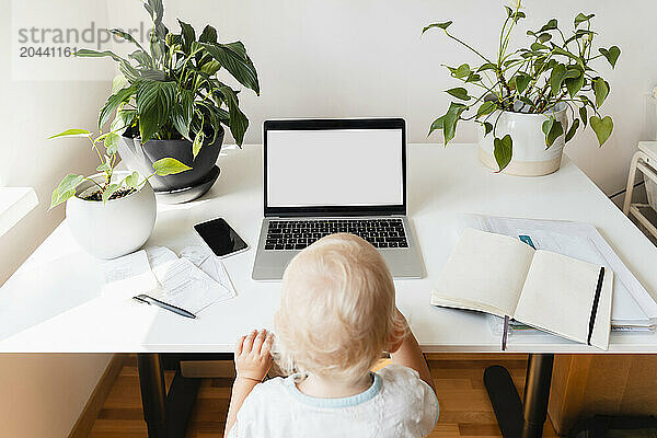 Baby boy sitting with laptop at desk