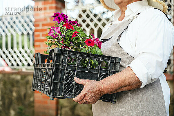 Senior woman carrying flower crate