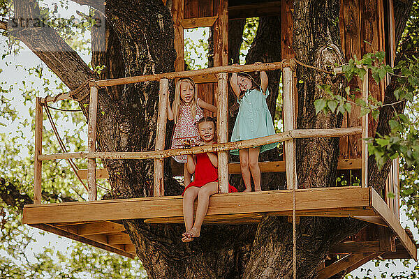 Cheerful girls playing on tree house