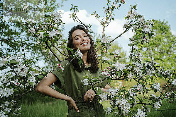 Happy woman standing amidst apple blossom tree