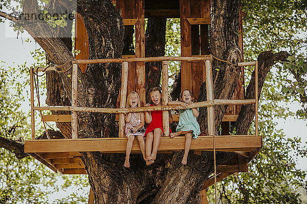 Cheerful girls sitting on tree house