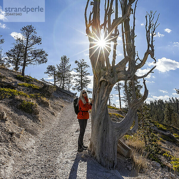 Portrait of woman on footpath at bare tree in Bryce Canyon National Park