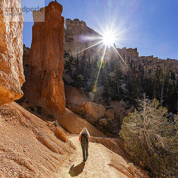 Rear view of woman hiking in Bryce Canyon National Park on sunny day