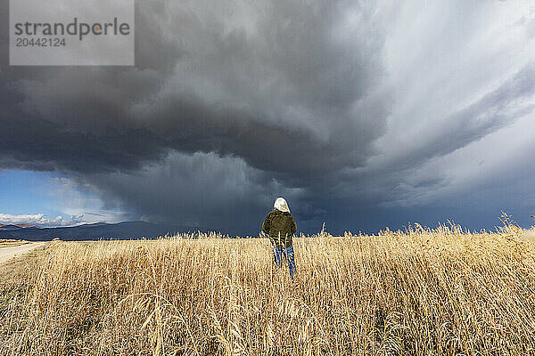 Rear view of woman standing in fall grasses under stormy sky