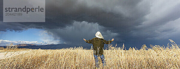 Rear view of woman standing in fall grasses under stormy sky