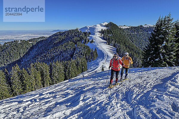 Man and woman hiking with snowshoes at Hoerlne  Ammergau Alps  Upper Bavaria  Bavaria  Germany