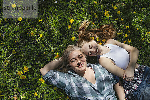 Happy mother and daughter lying on grass with dandelion flowers in park