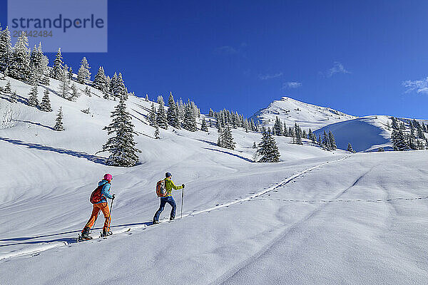 Man and woman back country skiing at Wiedersberger Horn  Kitzbuehel Alps  Tyrol  Austria