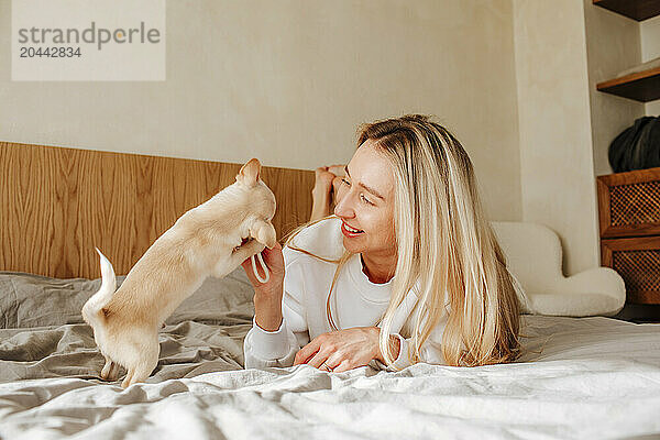 Young woman playing with chihuahua dog in bed at home