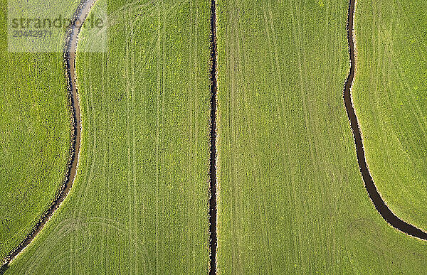 Aerial view of green polder