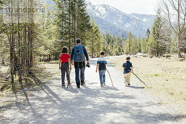 Family together hiking near trees and mountains on sunny day