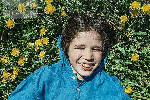 Happy boy lying on flowers in field