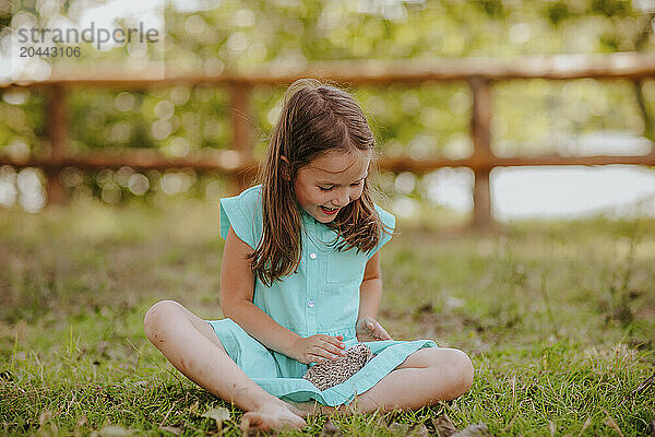 Happy girl playing with hedgehog sitting on grass at garden