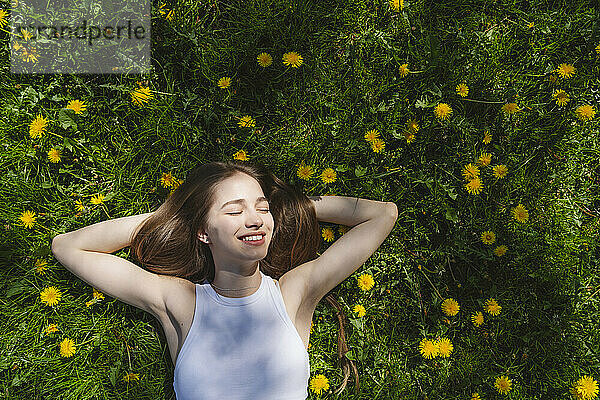 Happy girl lying on yellow dandelions in park