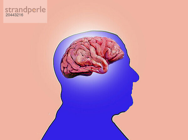 Brain inside silhouette of human head