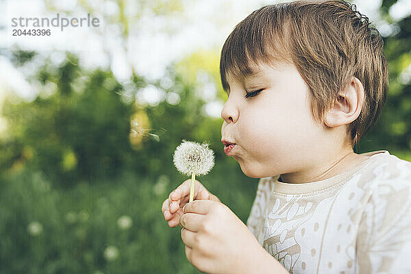 Boy with eyes closed blowing dandelion flower at lawn