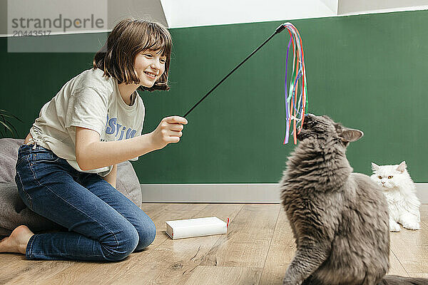 Teenage girl playing with cats