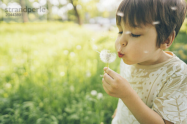 Boy blowing dandelion flower at lawn